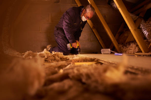 Best Energy Efficiency Solutions in Brandermill, VA