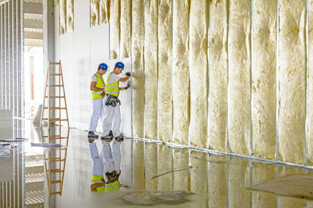 Best Residential Insulation in Brandermill, VA